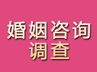 伍家岗婚姻咨询调查